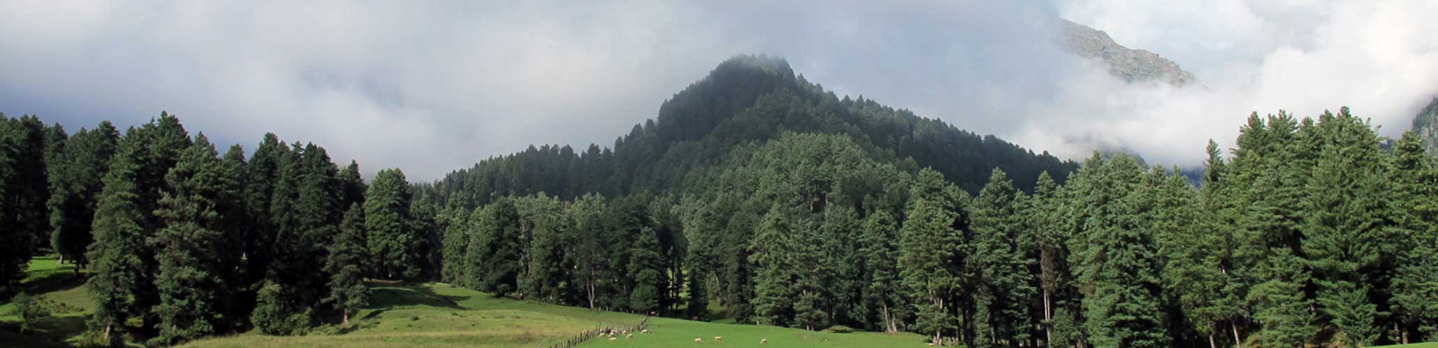 Mohanmarg Day Trek