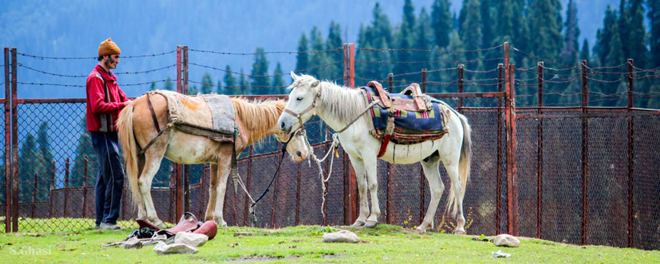 Dachigam Marsar Trek