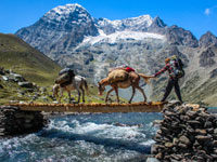 Kashmir Alpine Lake Trek