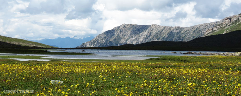 Kashmir Alpine Lakes Trek