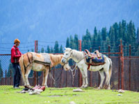 Tarsar Marsar Lake Trek