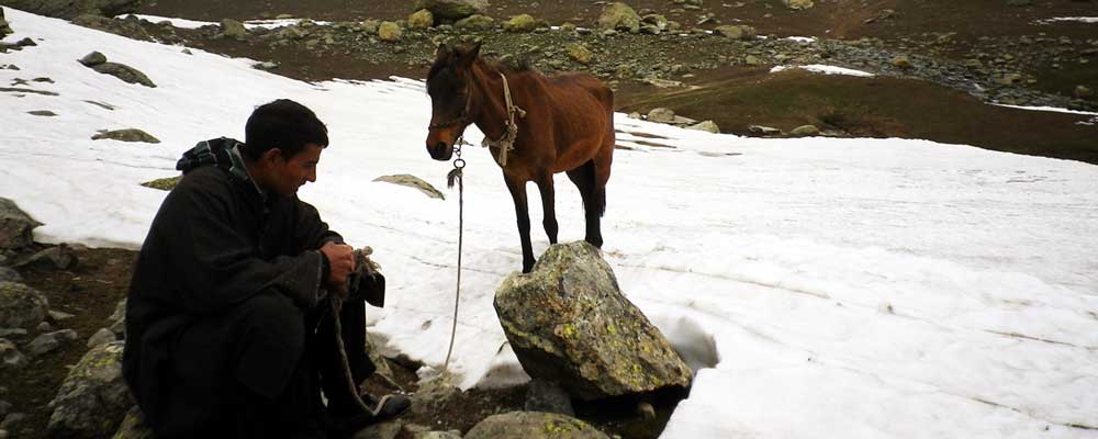 Sonamarg Thajiwas Day Trek