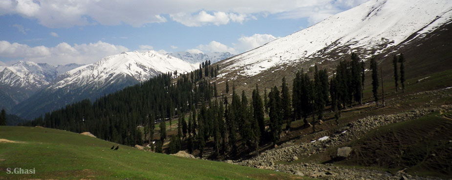 Vishansar Lake Trek