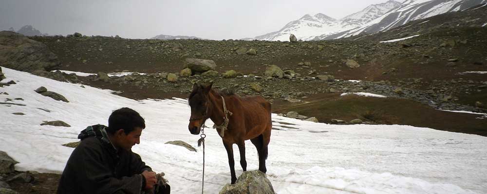 Kolahoi Glacier Trek